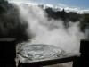 The Cooking Pool

Trip: Round the World in 5 Weeks
Entry: New Zealand
Date Taken: 06 Sep/03
Country: New Zealand
Taken By: John
Viewed: 2076 times
Rated: 9.0/10 by 1 person